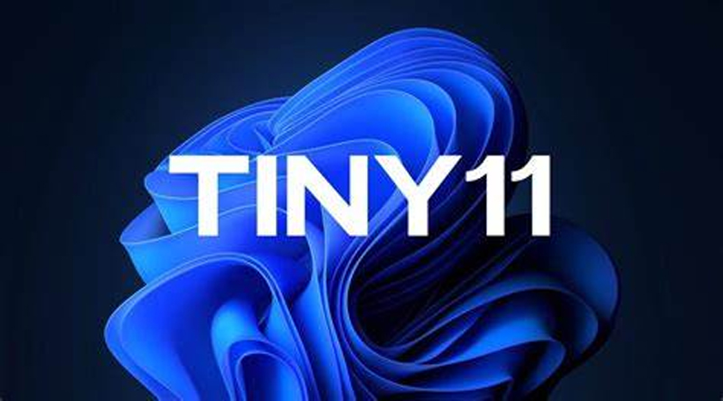 Tiny11.jpg
